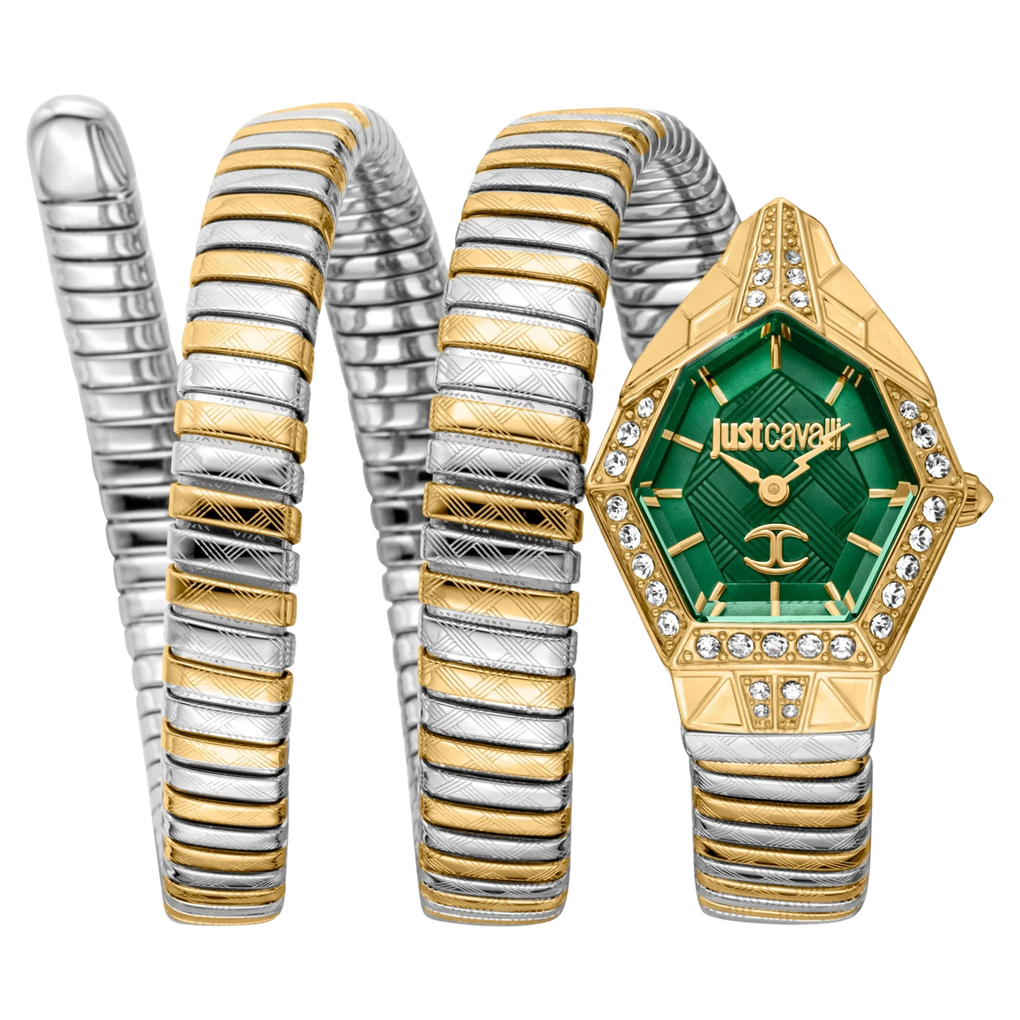 Just Cavalli JC1L304M0065 – Green Dial & Two-Tone Steel Bracelet