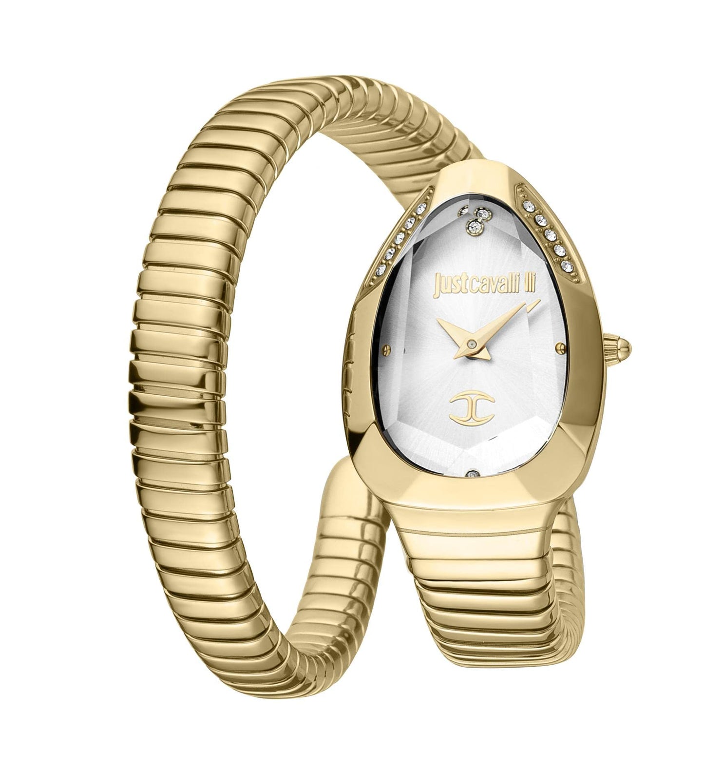 Just Cavalli
Jc1L208M0035 Classic Steel Strap Watch
