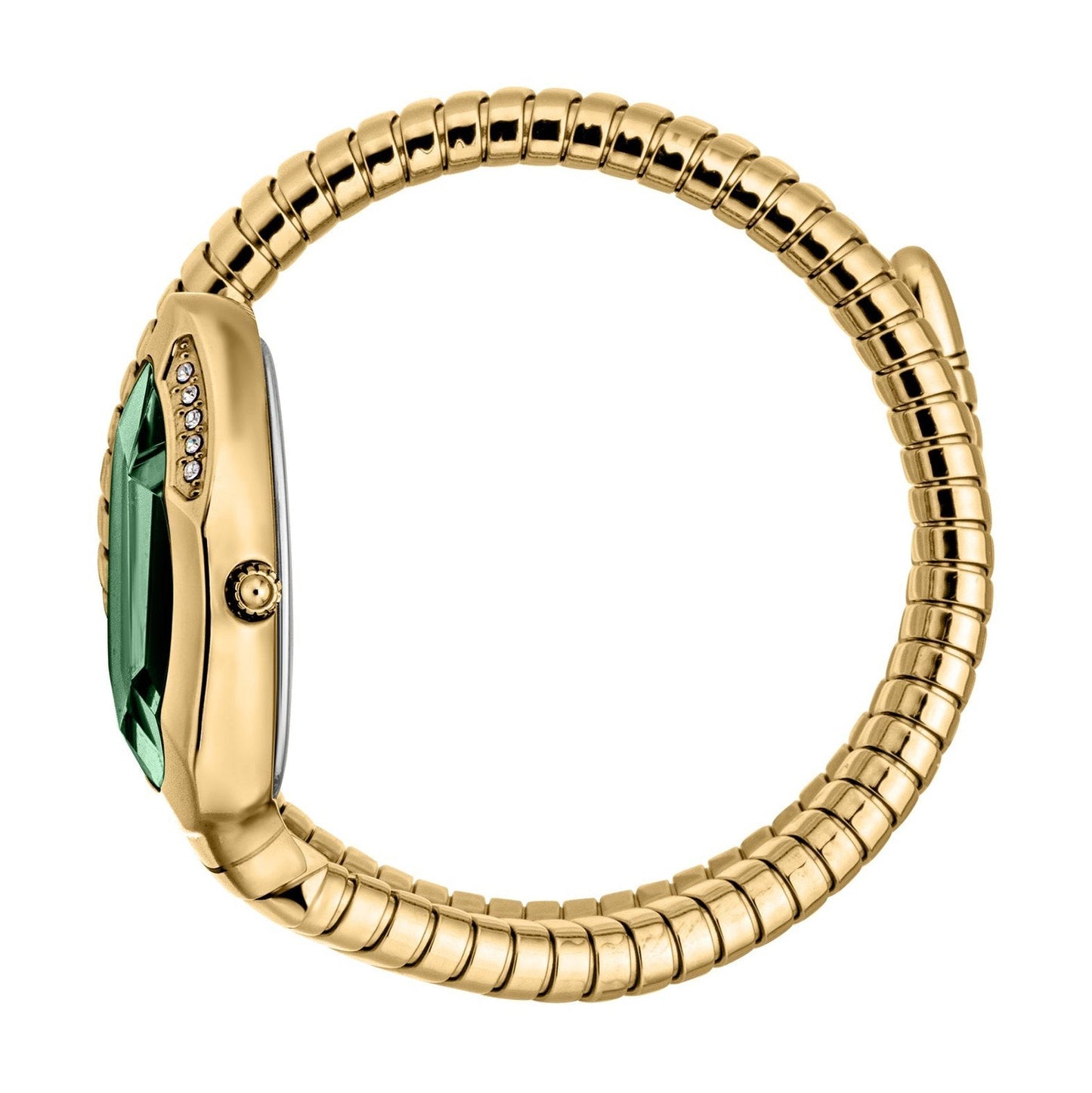Just CavalliTaglio SoloGreenWatch for Women-JC1L223M0035
