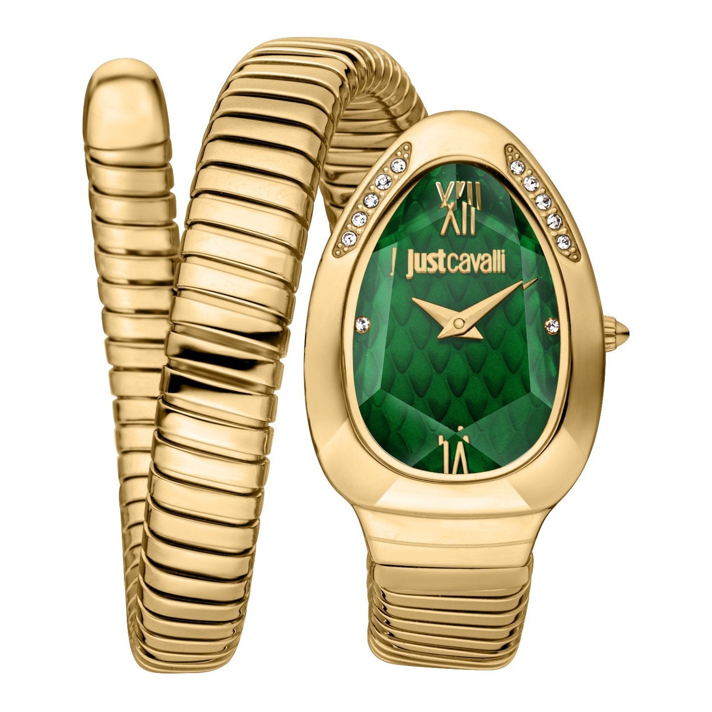 Just CavalliTaglio SoloGreenWatch for Women-JC1L223M0035